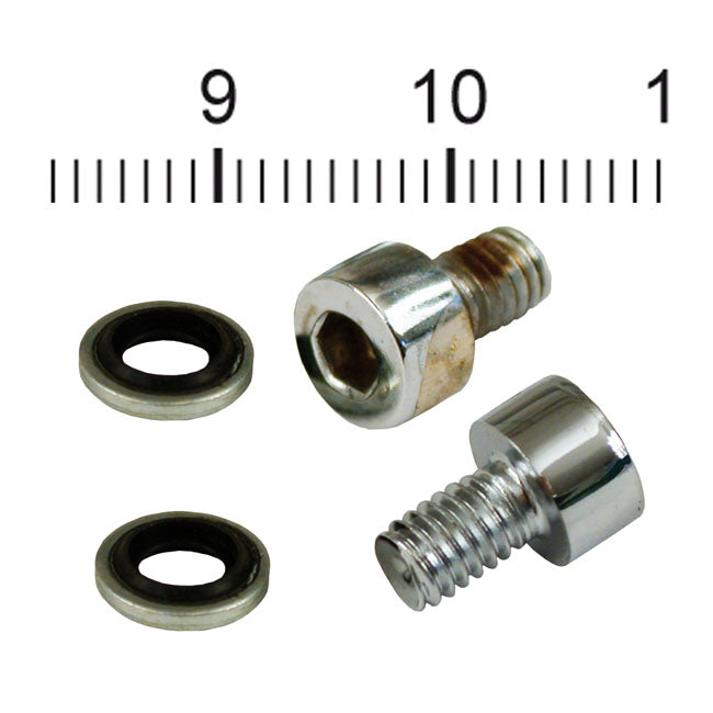 James Gaskets Fork slider drain screws. Chrome Allen head