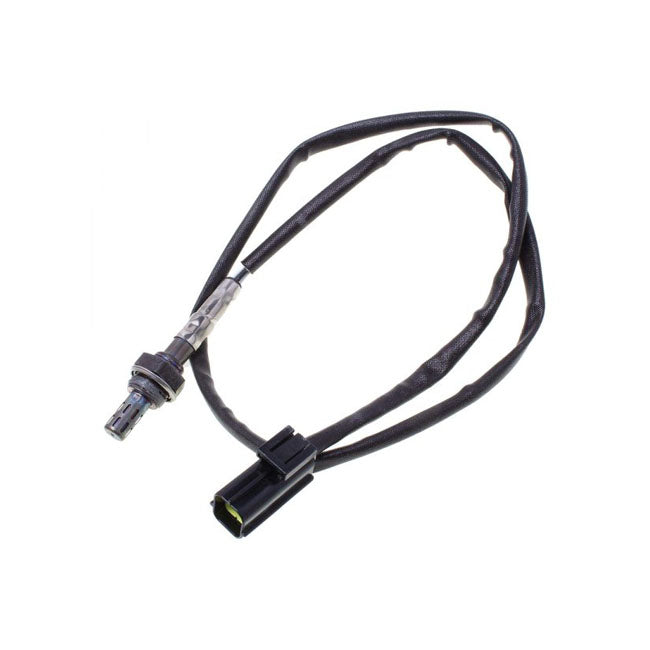 CVP, O2 Sensor Triumph Daytona, Speed Triple, Sprint, Tiger