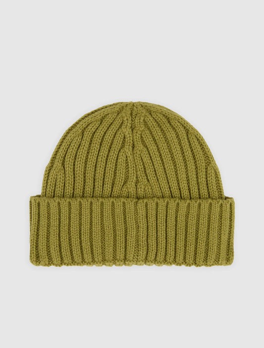 Dickies Lockwood beanie evergreen sprig