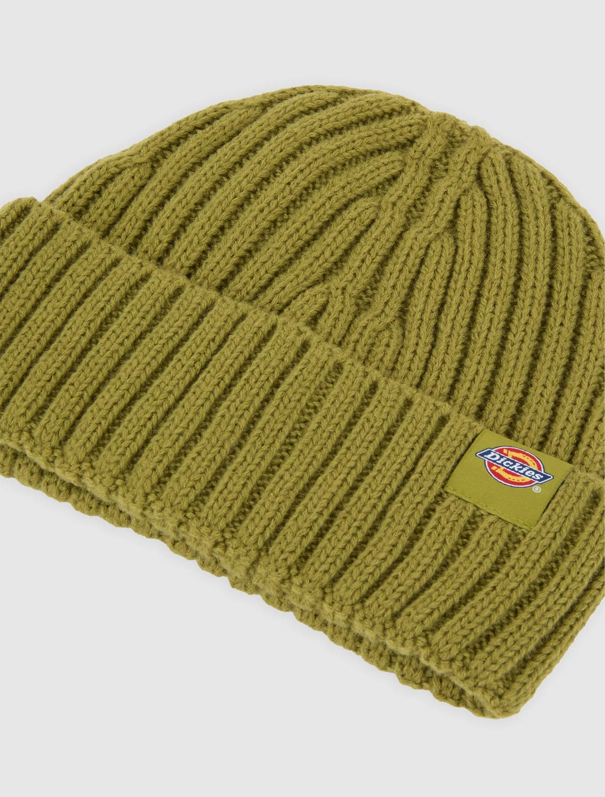 Dickies Lockwood beanie evergreen sprig