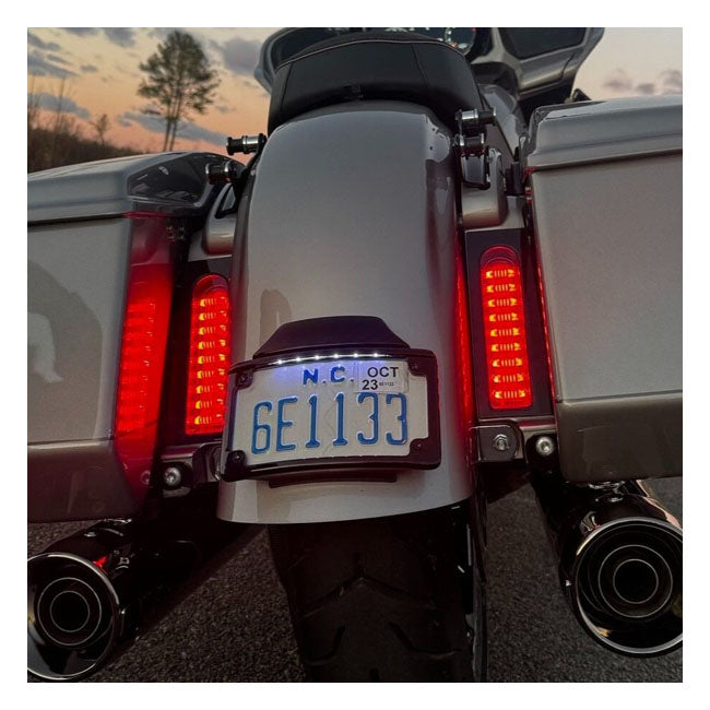 Custom Dynamics ProBEAM Fillerz Lights. Red lens - Custom Dynamics taillight/turn signals combo at Pedro's Parts