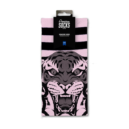 American Socks Khan Signature Socks Pink - product image 2