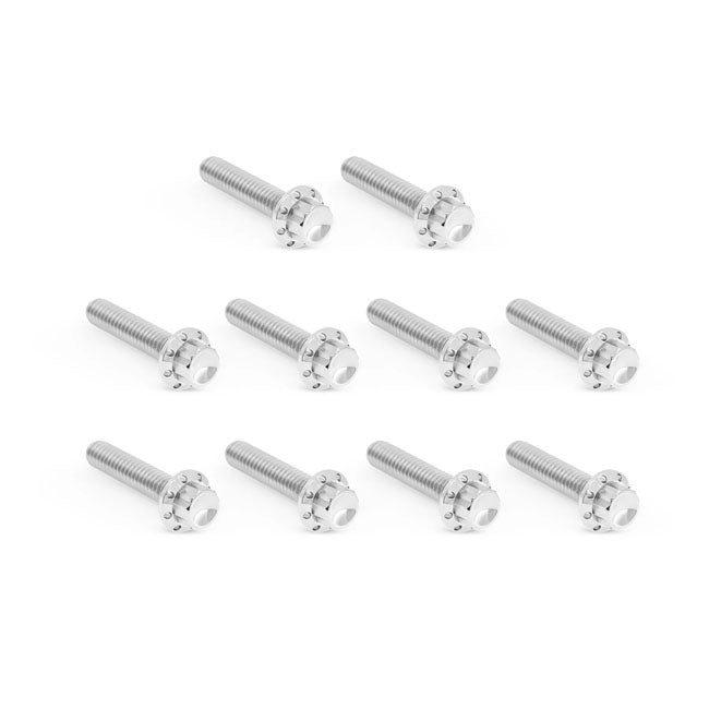 Arlen Ness, Titanium 12-point Cam/point Cover Bolt Kit. Pol