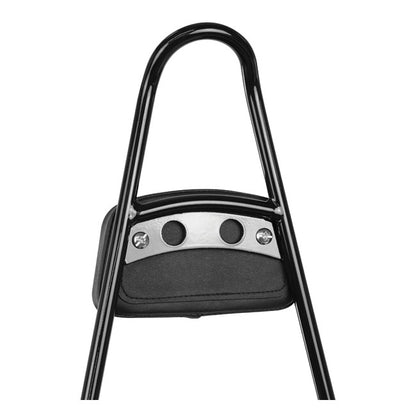 Burly, Tall Sissy Bar with Pad. Black