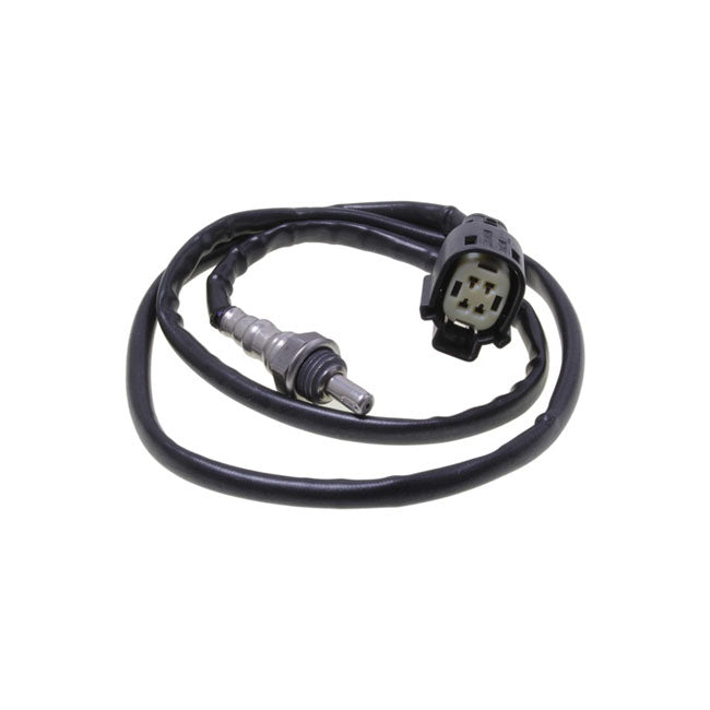 CVP, Oxygen Sensor