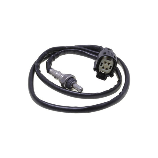 CVP, Oxygen Sensor M8. Front Header