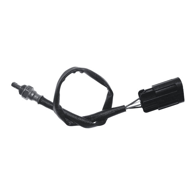 CVP, O2 Sensor Indian