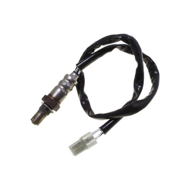 CPV, O2 Sensor Triumph Replaces T2201671 or T2204061