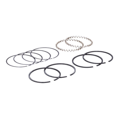 Hastings, 2-3/4" Bore Piston Ring Set. +.050"