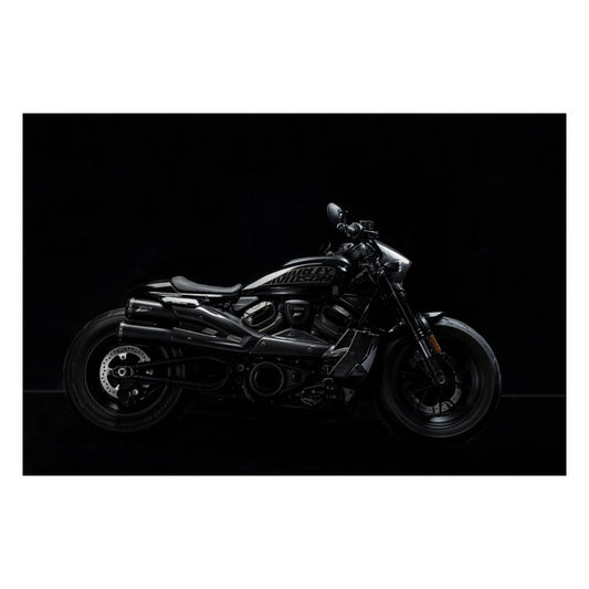 Zard, Carbon Headlamp Fairing Kit