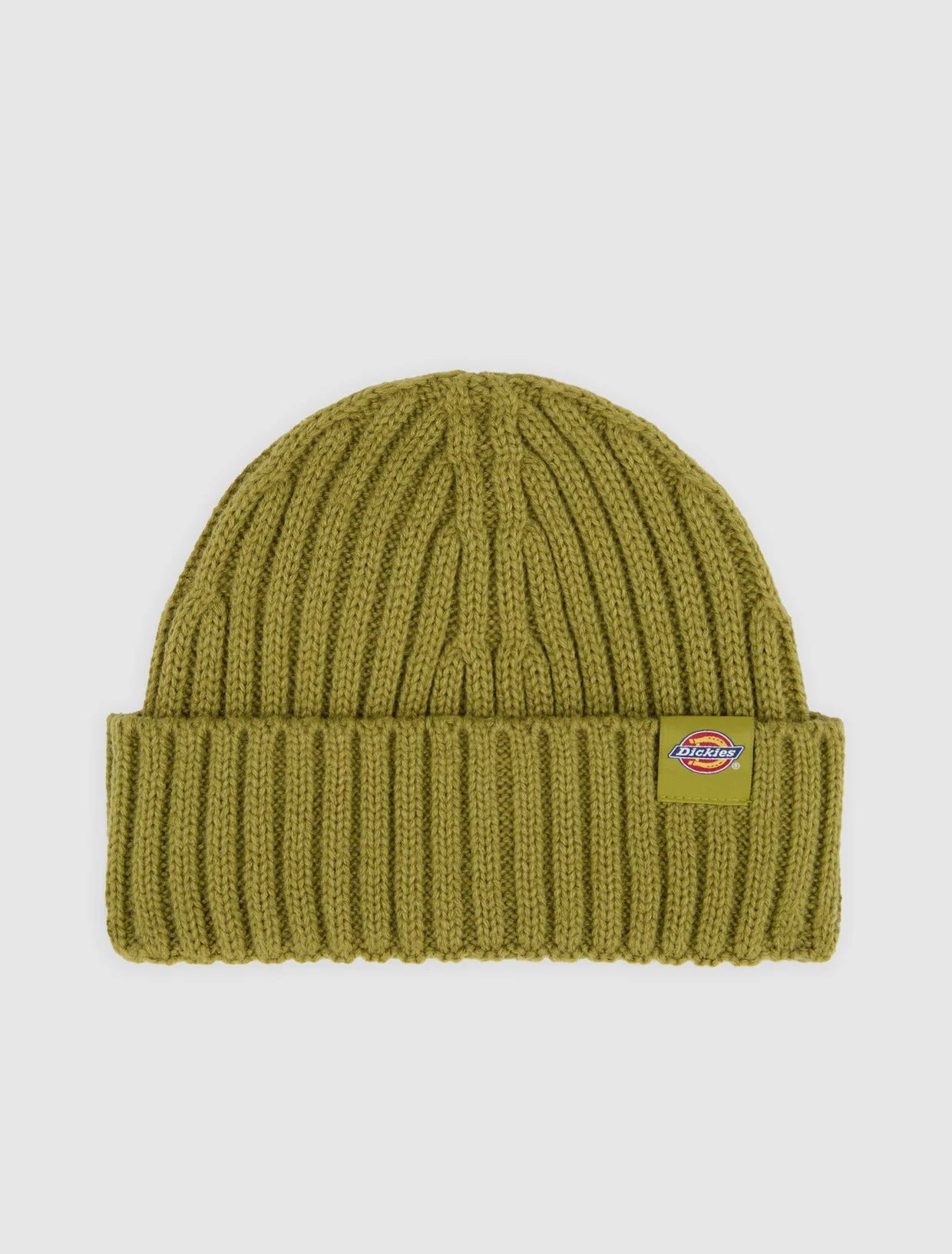 Dickies Lockwood beanie evergreen sprig