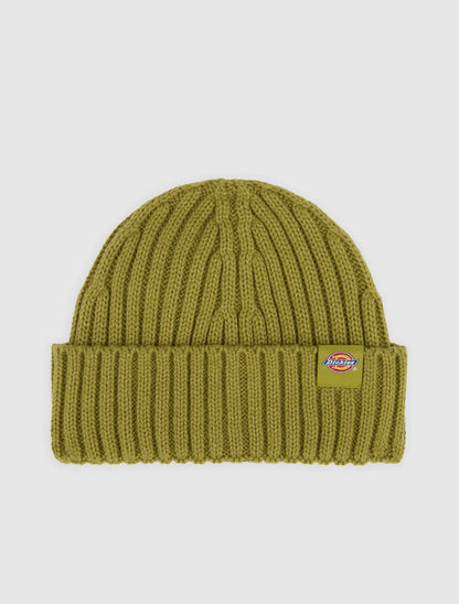 Dickies Lockwood beanie evergreen sprig