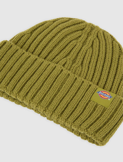 Dickies Lockwood beanie evergreen sprig